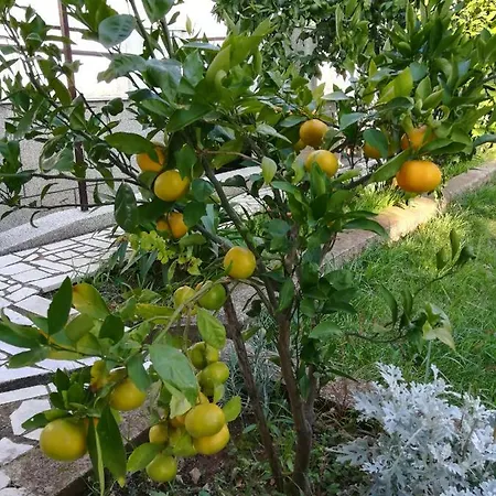Apartament G&g With Swimming Pool Pula