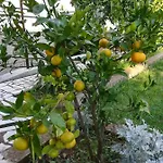 Διαμέρισμα G&g With Swimming Pool Πούλα