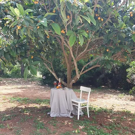 G&g With Swimming Pool Pula