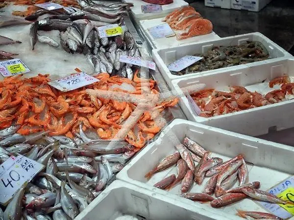 G&g With Swimming Pool Póla