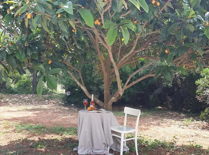 G&g With Swimming Pool Póla