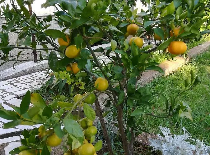 Apartman G&g With Swimming Pool Póla